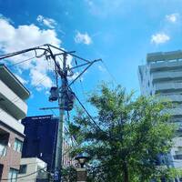 画像289