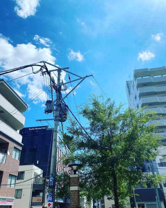 画像289